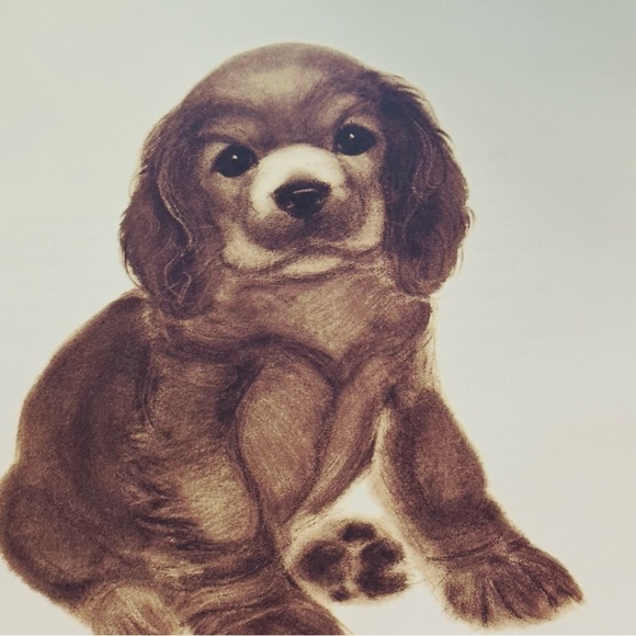 NEW Barkis Hardcover Classic Children’s Picture Book - Picture 6 of 11